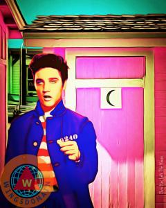 Elvis Has Left The House By Wingsdomain Art And Photography