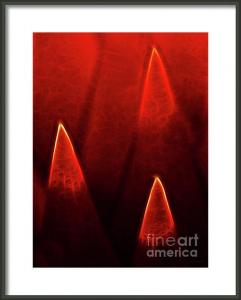 Wingsdomain Makes Available Online For The First Time Ever His Premier Abstract Art Collection Fine Art Prints