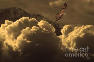 Before Memory . I Have Soared With The Hawk . By Wingsdomain.com Art And Photography