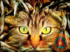 When Cats Dream Museum Quality Metal Print By Wingsdomain Art And Photography