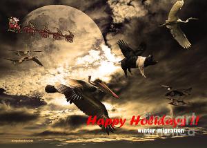 Wingsdomain.com Releases Annual Holiday Christmas Card . Happy Holidays . Winter Migration